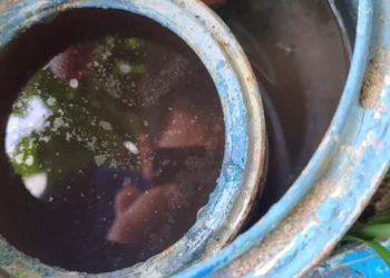 Governador Celso Ramos intensifica ações de combate ao mosquito da Dengue
