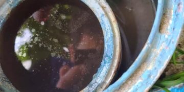 Governador Celso Ramos intensifica ações de combate ao mosquito da Dengue