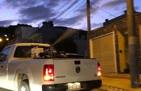 combate a dengue