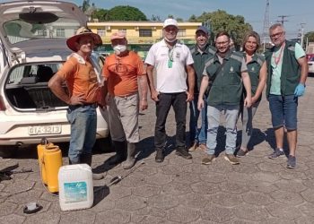 Luta contra a Dengue - Vigilância Epidemiológica participa de capacitação em Tijucas