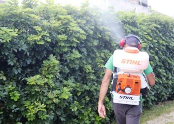 Vigilância Epidemiológica Municipal faz ação de controle do mosquito da Dengue no Bairro Palmas