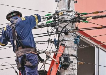 A pedido da Prefeitura, Celesc promove mutirão de higienização de postes em Biguaçu