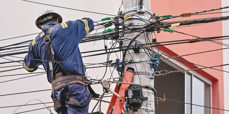 A pedido da Prefeitura, Celesc promove mutirão de higienização de postes em Biguaçu