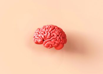 Cinco truques de uma neurocientista para fortalecer a memória
