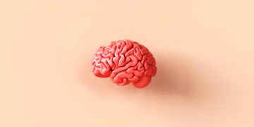 Cinco truques de uma neurocientista para fortalecer a memória