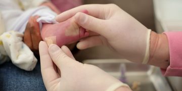 Santa Catarina amplia Teste do Pezinho que agora permite detecção da toxoplasmose