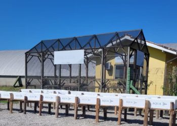 ÚLTIMOS PREPARATIVOS- CENTRO DE CONVIVÊNCIA DO IDOSO TERÁ PROJETO DE HORTA ERGONÔMICA EM BREVE