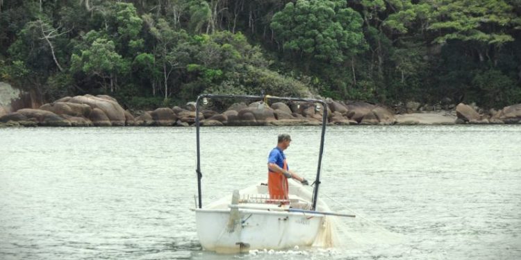ESTÃO ABERTAS AS INCRIÇÕES PARA A CARTEIRA POP 1 PARA PESCADOR ARTESANAL