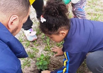 Semana do Meio Ambiente em Governador Celso Ramos é marcada por ações de conscientização e preservação ambiental Caieira do Norte