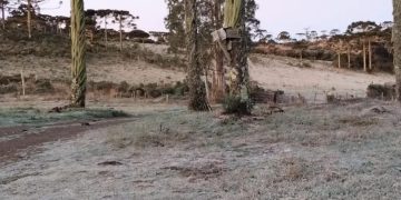 Urupema registra -7,2°C na madrugada de domingo, a menor temperatura do ano em Santa Catarina