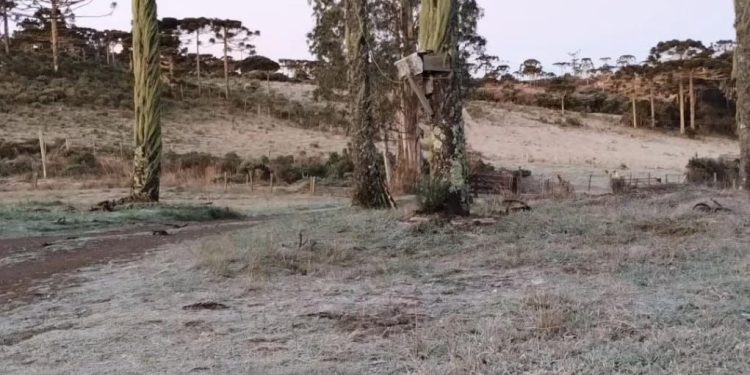 Urupema registra -7,2°C na madrugada de domingo, a menor temperatura do ano em Santa Catarina