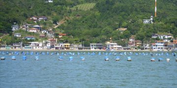 Prefeitura e Epagri divulgam encontros sobre a ocupação de áreas aquícolas em Biguaçu