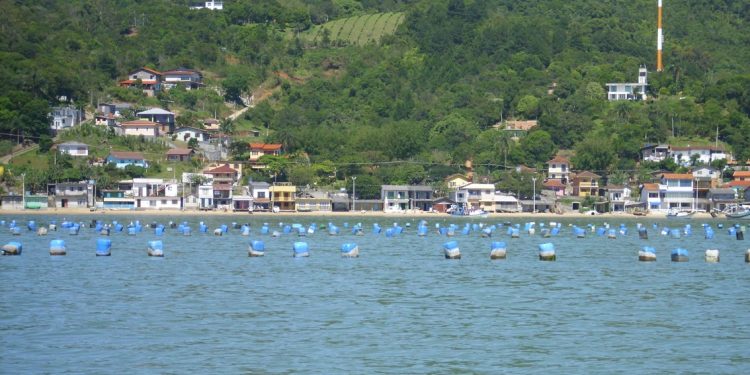 Prefeitura e Epagri divulgam encontros sobre a ocupação de áreas aquícolas em Biguaçu