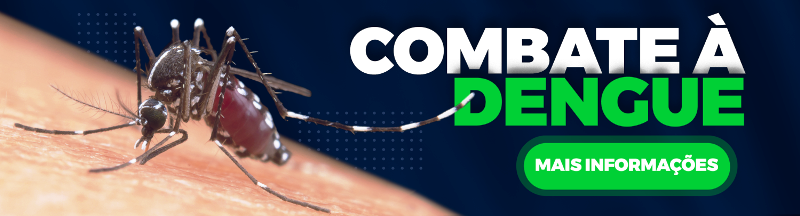 Combate à Dengue