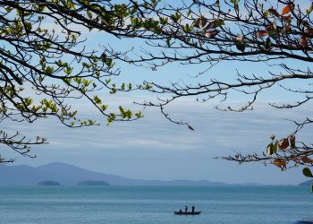 Previsão do tempo- último dia do ano de 2024 tem instabilidades e risco de temporais em Santa Catarina