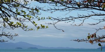 Previsão do tempo- último dia do ano de 2024 tem instabilidades e risco de temporais em Santa Catarina