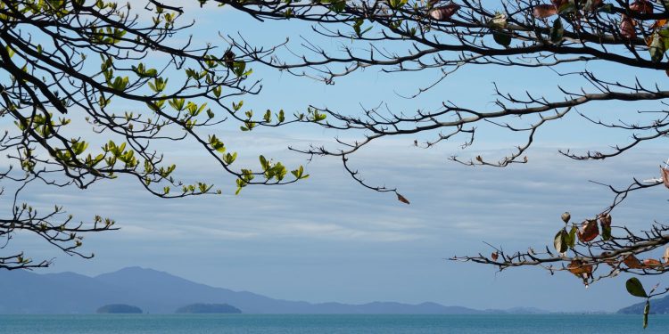 Previsão do tempo- último dia do ano de 2024 tem instabilidades e risco de temporais em Santa Catarina