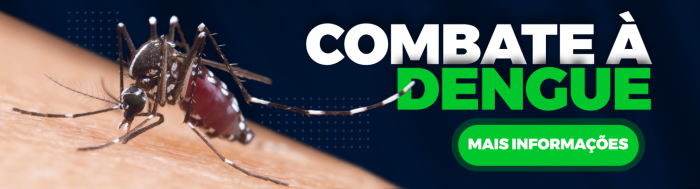 combate a dengue