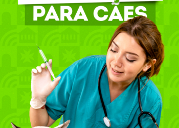 DIBEA de Biguaçu promove mutirão de vacinação para cães