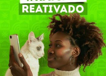 Departamento de bem Estar animal retorna atendimento