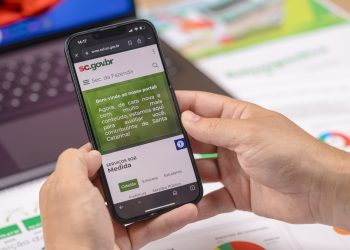 Santa Catarina tem a segunda maior taxa de domicílios com internet