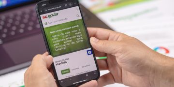 Santa Catarina tem a segunda maior taxa de domicílios com internet