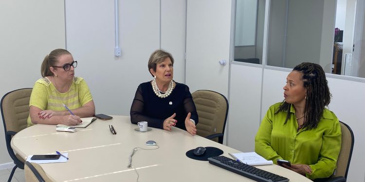 Assistência Social de SC reúne rede de proteção para discutir medidas emergenciais contra a criança e adolescentes