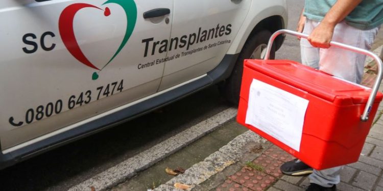 Setembro Verde - Santa Catarina é referência nacional na doação e transplante de órgãos