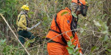 Brasil registra menor número de queimadas da série histórica em agosto inpe