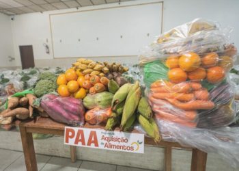 Biguaçu realiza entregas do Programa de Aquisição de Alimentos Indígena