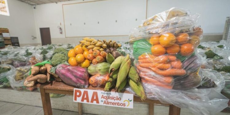 Biguaçu realiza entregas do Programa de Aquisição de Alimentos Indígena
