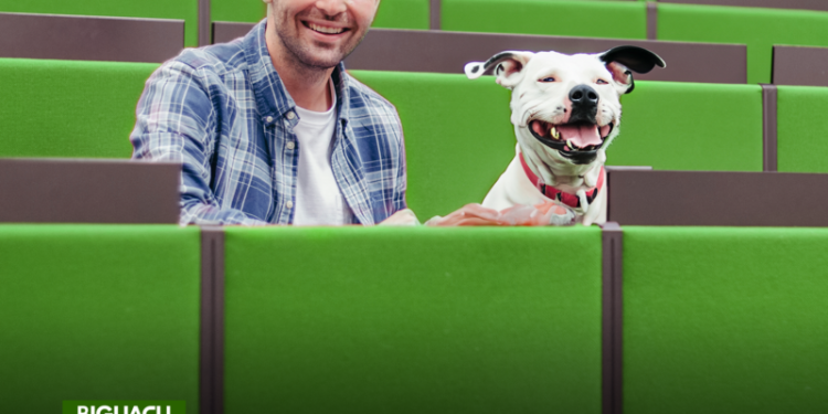 Escuta pública amplia diálogo para avanço da proteção animal em Biguaçu