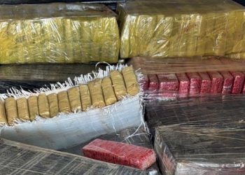 Meia tonelada de maconha é apreendida em Palhoça