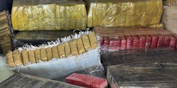 Meia tonelada de maconha é apreendida em Palhoça