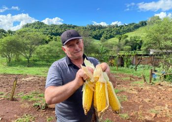 Santa Catarina tem 103 municípios habilitados ao novo edital do Programa de Aquisição de Alimentos