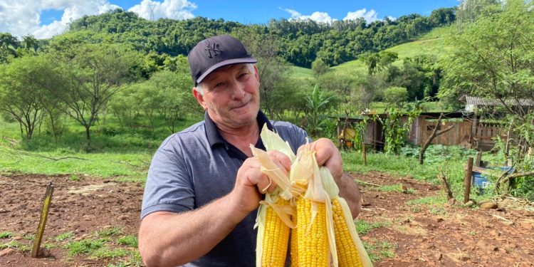 Santa Catarina tem 103 municípios habilitados ao novo edital do Programa de Aquisição de Alimentos