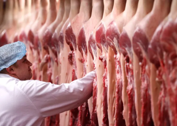 Carne: País vai propor à China assumir cota de países que não conseguirem cumpri-la, diz Fávaro