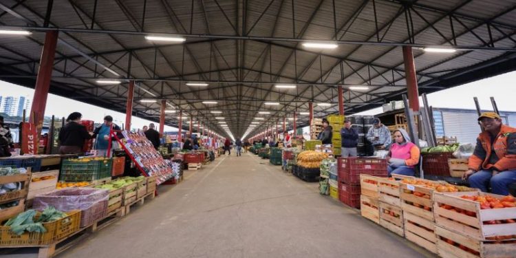 Retrospectiva 2025: CEASA/SC consolida protagonismo nacional, sedia 100º Encontro da Abracen e reforça combate à fome