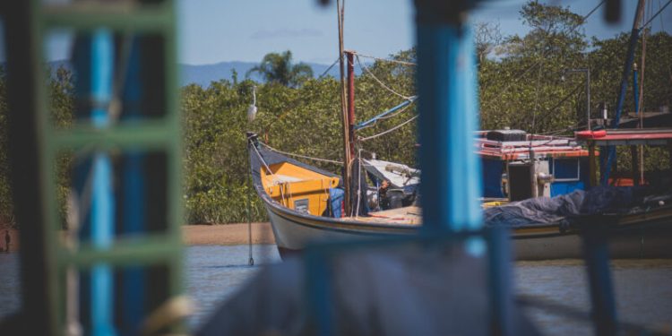 geolocalizadores