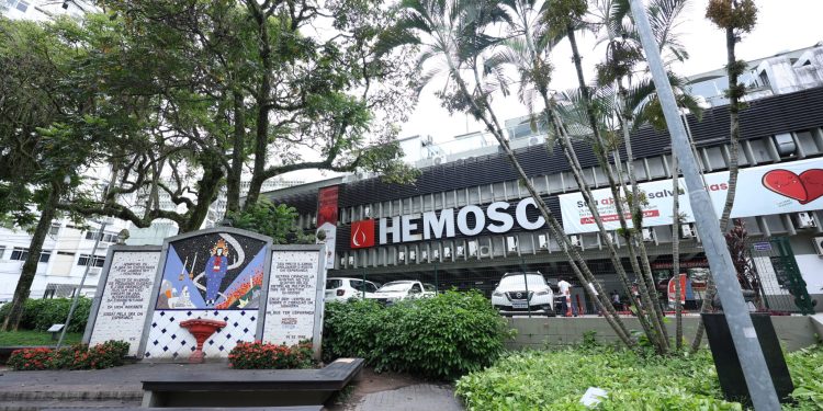 Estão abertas as inscrições para evento internacional do Hemosc sobre gestão de serviços de sangue